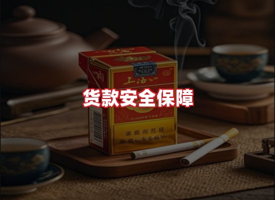 专业团队